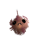 poopfish13