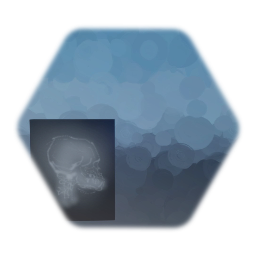 X-Ray Skull