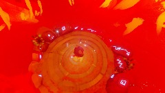 Ancient temple but help