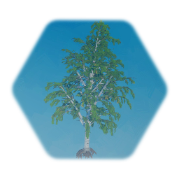 TREE - Birch MORE DETAILED
