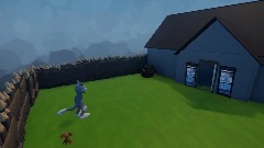 Tom and Jerry House adveture