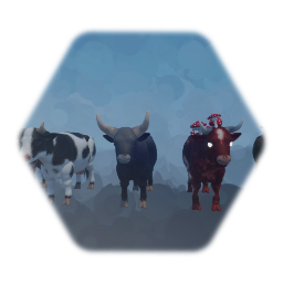 Cows