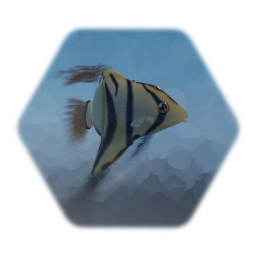 Angelfish