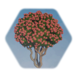 Crape Myrtle