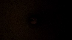 A screenshot taken in Dreams. 12 of 25.