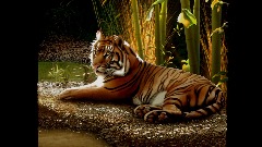 A screenshot taken in Dreams. 2 of 2.