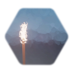 Torch