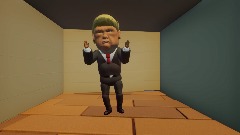 Donald Trump and TikTok
