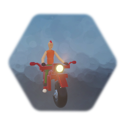 Punk on bike