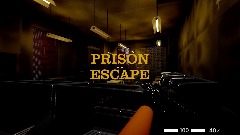 PRISON ESCAPE