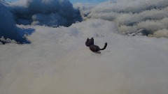 A little abandoned world