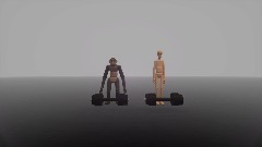 Human and chimp strength