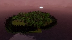 Forest scene