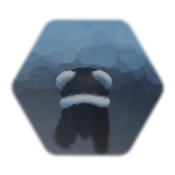 Bear ear hat