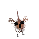 tibbiTi