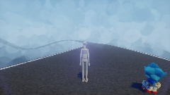 The Race