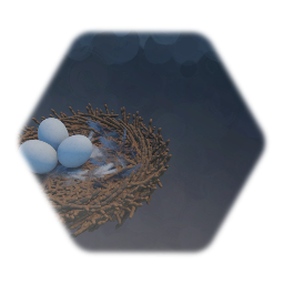 Nest