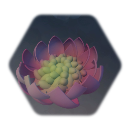 Lotus Head 1