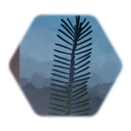 Coniferous Tree