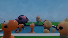 Maroon and Toby pool party