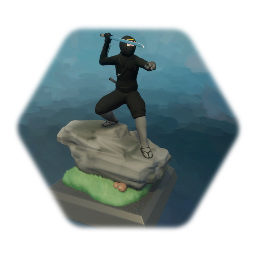 Ninja model