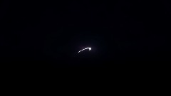 Nimonia: tales of the silver fur (DEMO)