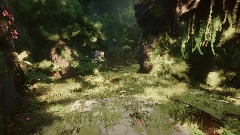 Realistic Forest Walk