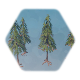High quality Pine trees