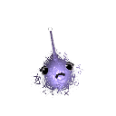 Dakumbrella_