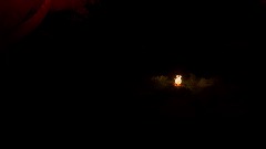 Zombie forest ( BETA )