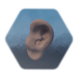 Ear
