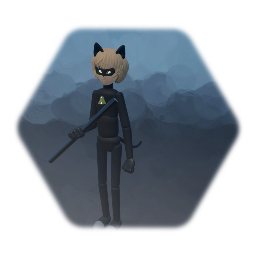 Cat Noir (new)