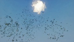 Last of us inspired generative music with visuals