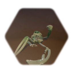 Skeleton Designed For Holding a Collectable