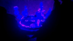 imp quests got me like (5)