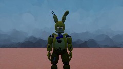 SpringBonnie Movement