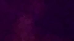 The Warp