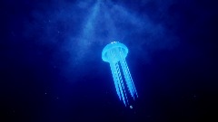 Deep sea Jellyfish