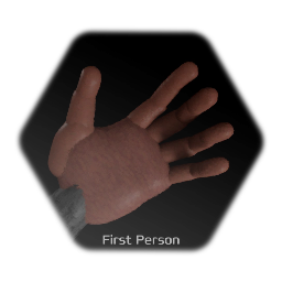 First Person Player