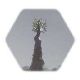 <term>kane parsons tree