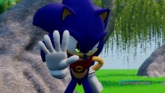 <term> Wait.... (SONIC ANIMATION)