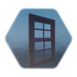 Window
