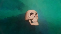 Skull showcase