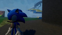 Sonic frontier