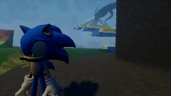 Sonic frontier