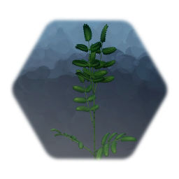 small plant
