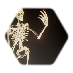 Skeletal System Body Puppet