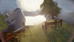 The Coast
