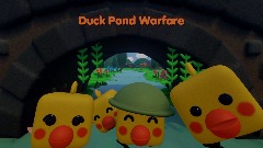 Duck Pond Warfare