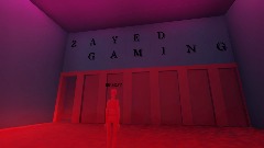 ZAYED GAMING